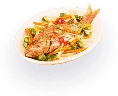 ip攻击器网页版ddos